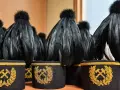 Czako górnika: Jaka tajemnica kryje się w kolorach pióropusza?